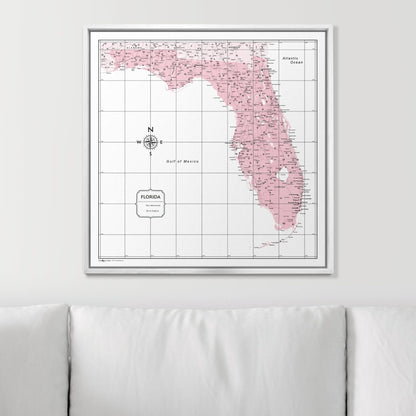 Push Pin Florida Map (Pin Board) - Pink Color Splash CM Pin Board