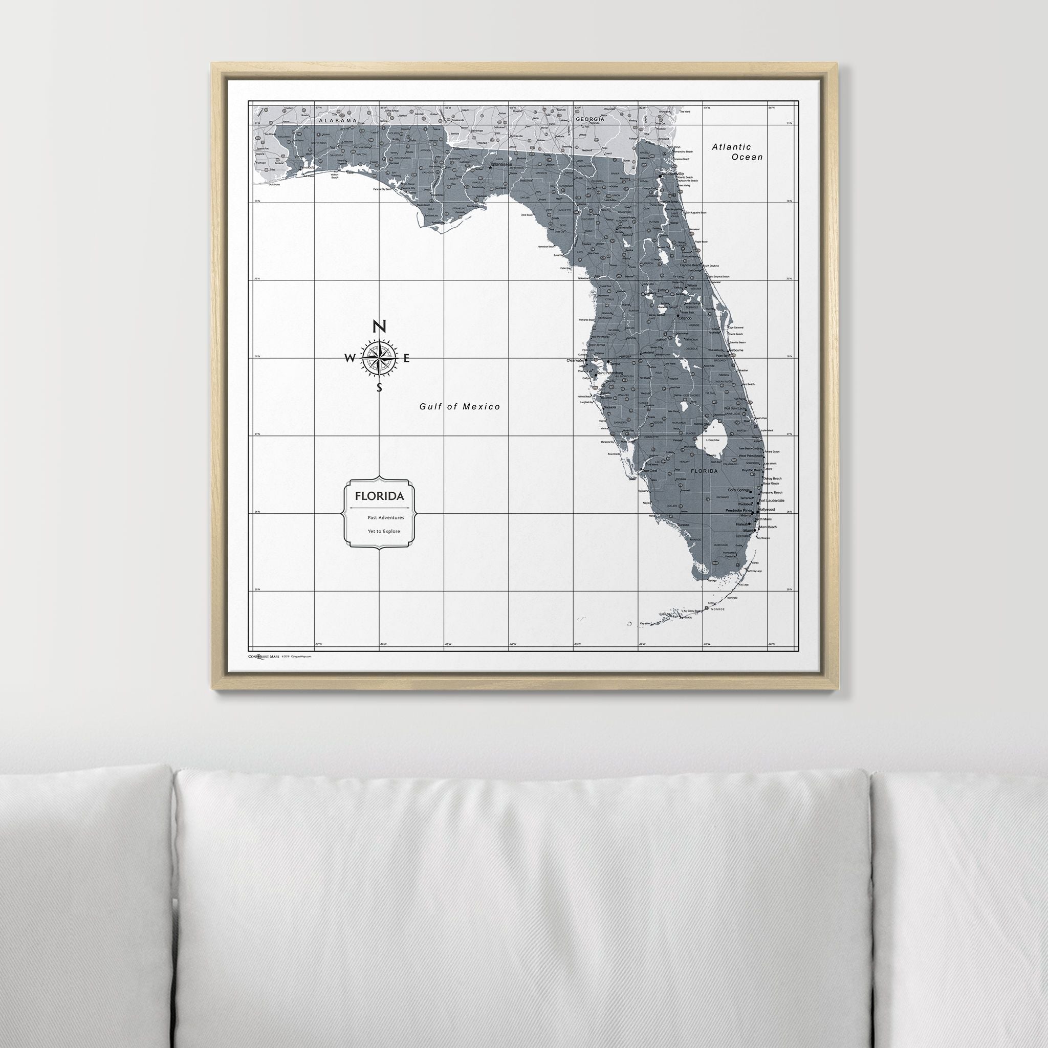 Push Pin Florida Map (Pin Board) - Dark Gray Color Splash CM Pin Board