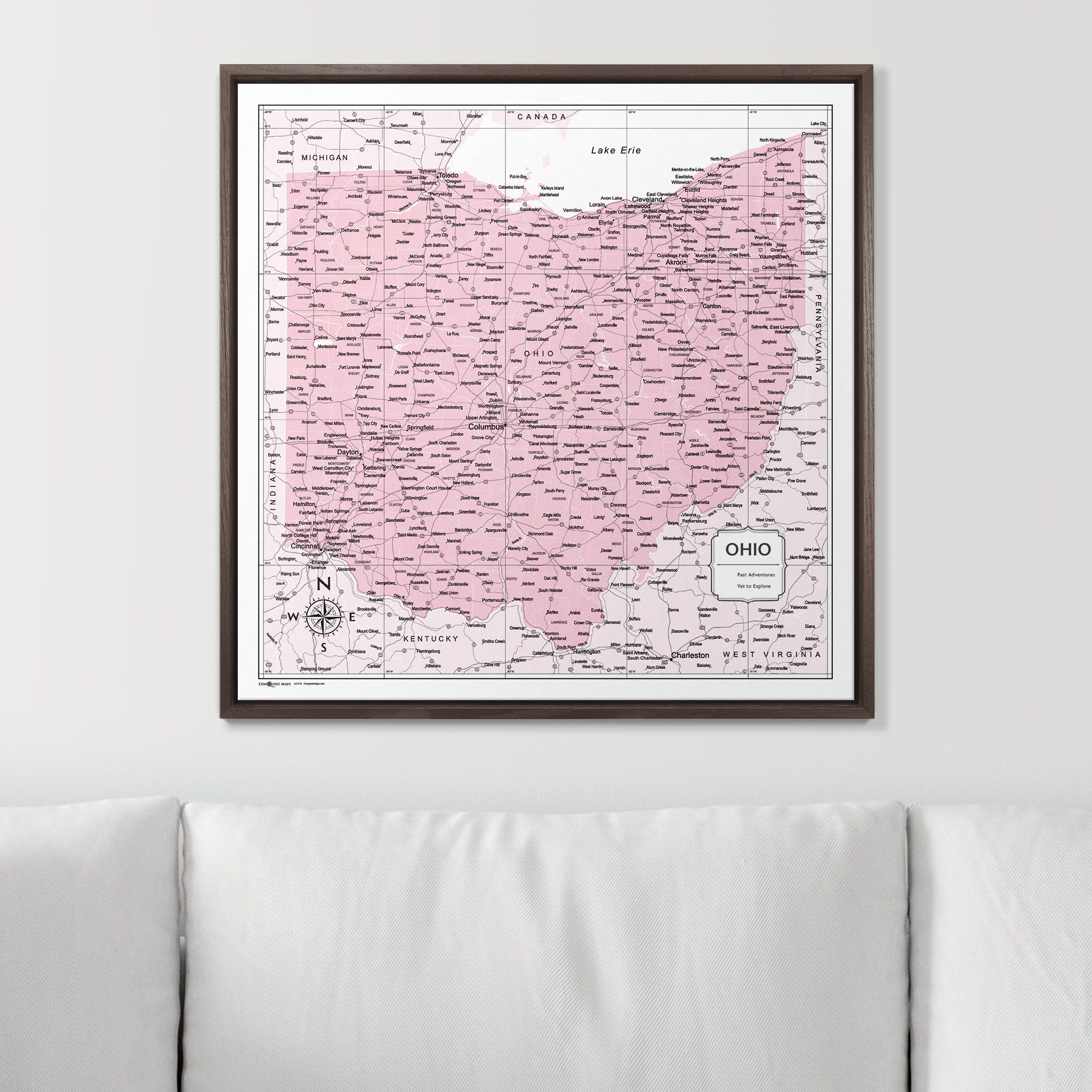 Push Pin Ohio Map (Pin Board) - Pink Color Splash CM Pin Board