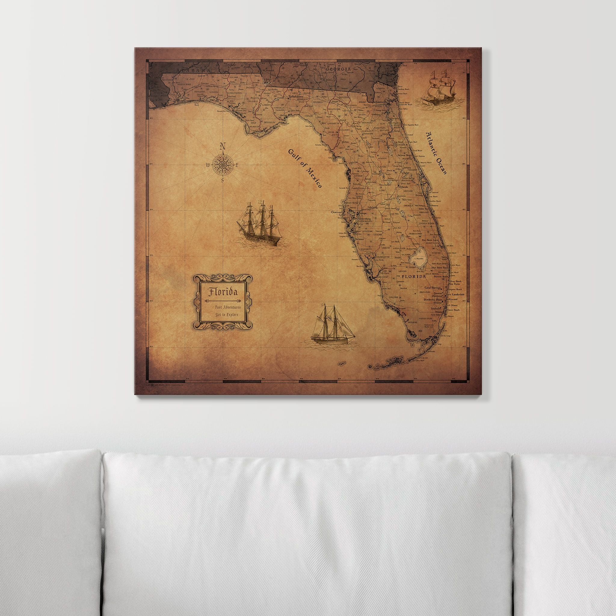 Push Pin Florida Map (Pin Board) - Golden Aged CM Pin Board