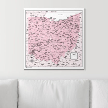 Push Pin Ohio Map (Pin Board) - Pink Color Splash CM Pin Board