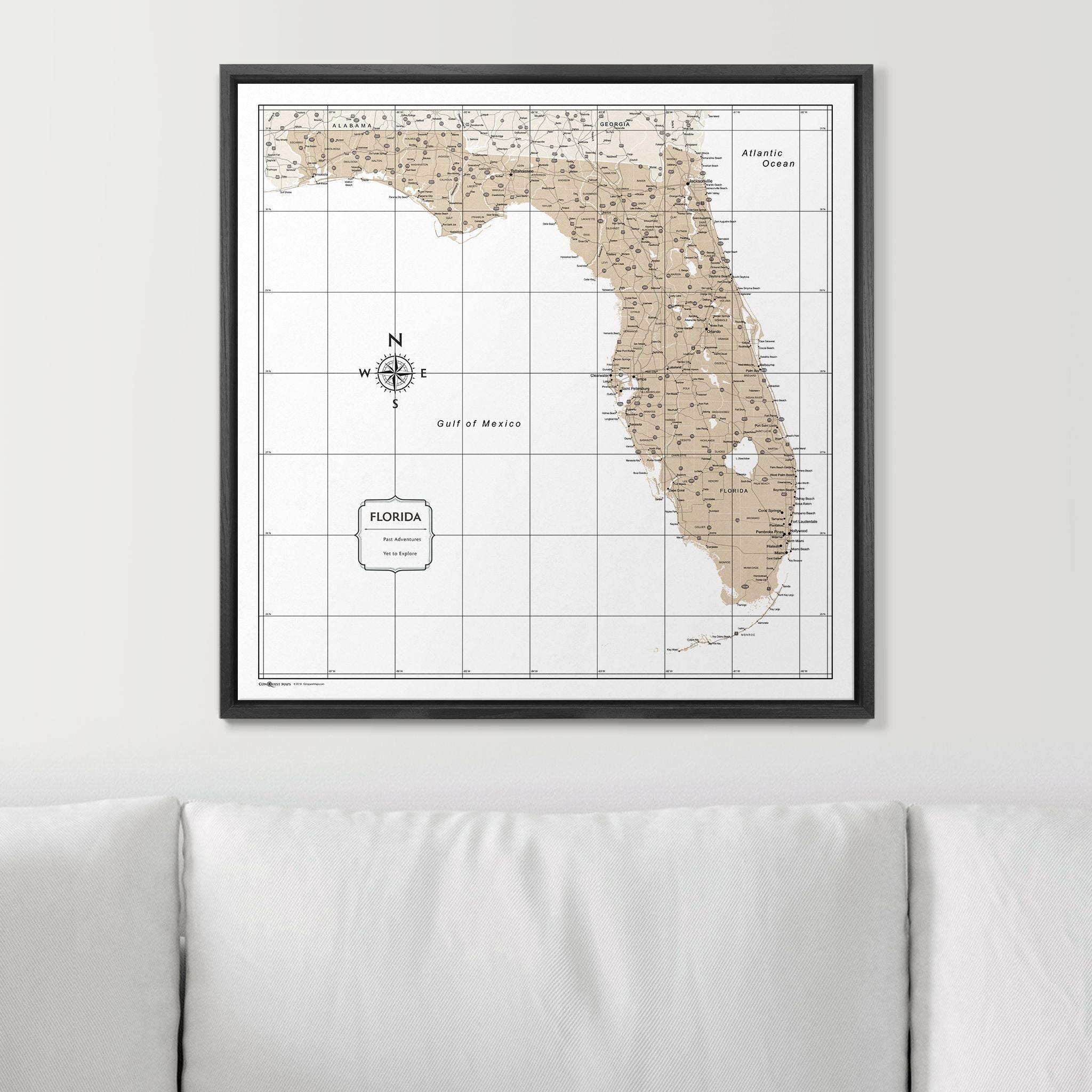 Push Pin Florida Map (Pin Board) - Light Brown Color Splash CM Pin Board