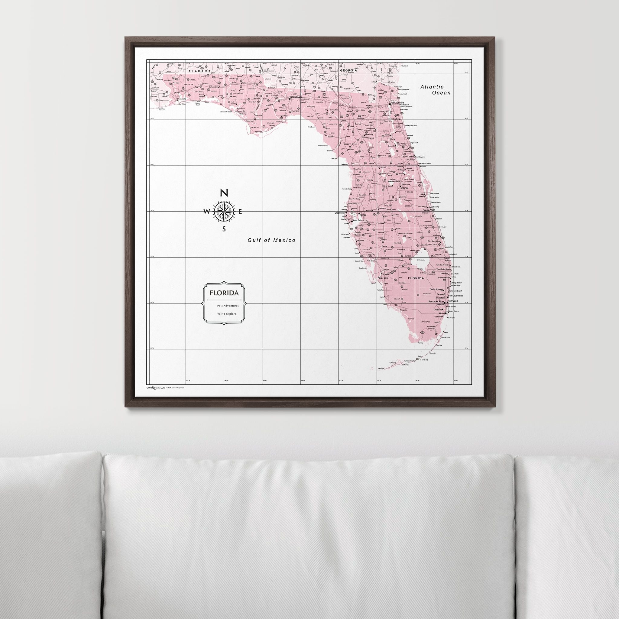 Push Pin Florida Map (Pin Board) - Pink Color Splash CM Pin Board