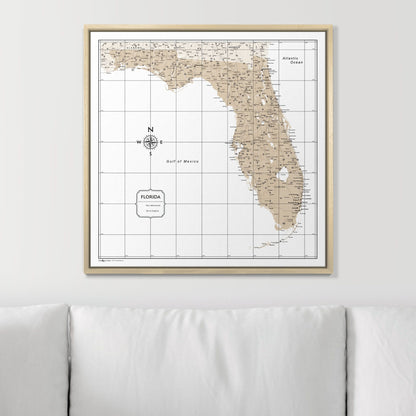 Push Pin Florida Map (Pin Board) - Light Brown Color Splash CM Pin Board