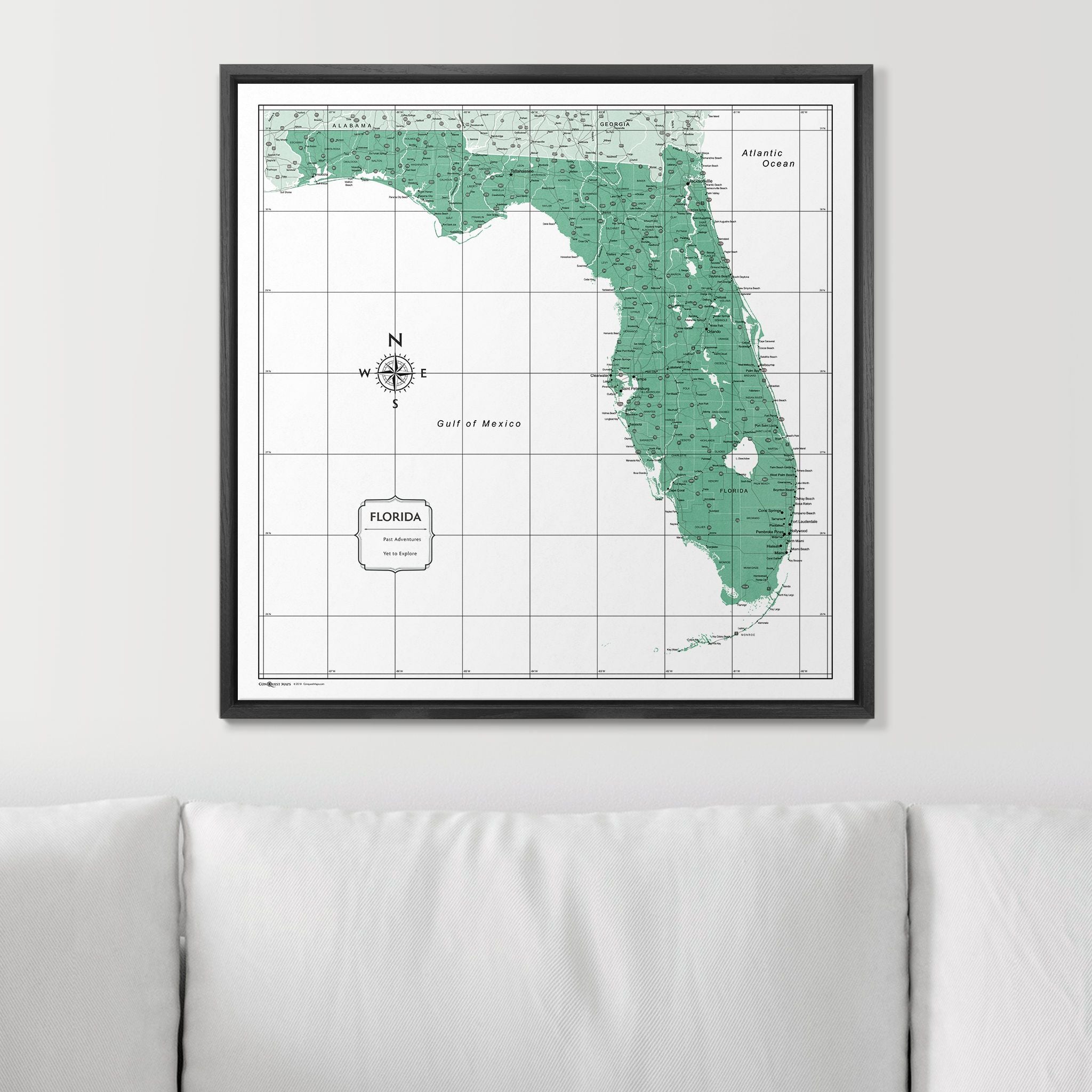 Push Pin Florida Map (Pin Board) - Green Color Splash CM Pin Board