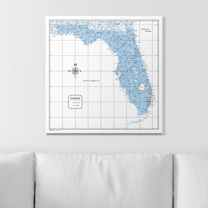 Push Pin Florida Map (Pin Board) - Light Blue Color Splash CM Pin Board