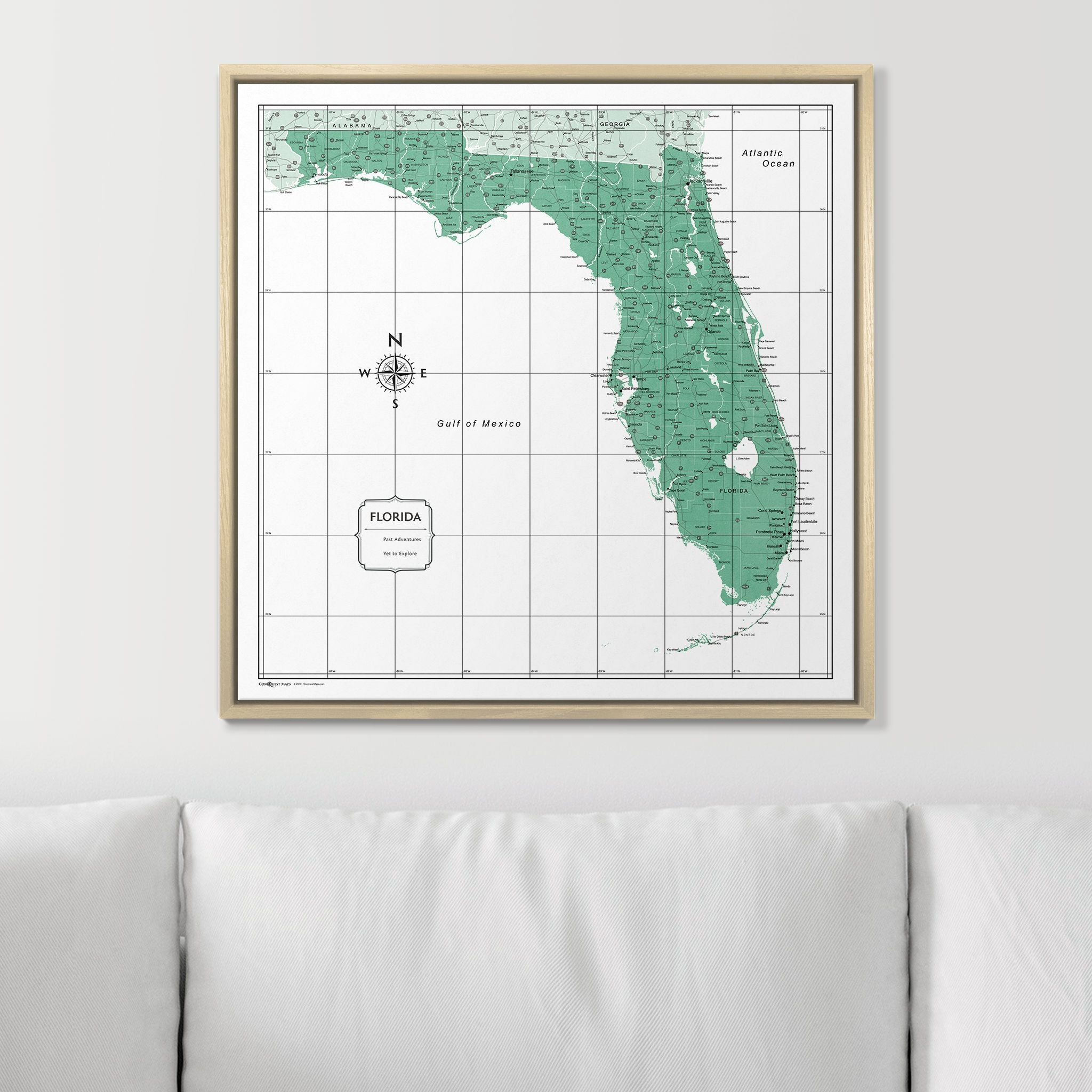 Push Pin Florida Map (Pin Board) - Green Color Splash CM Pin Board