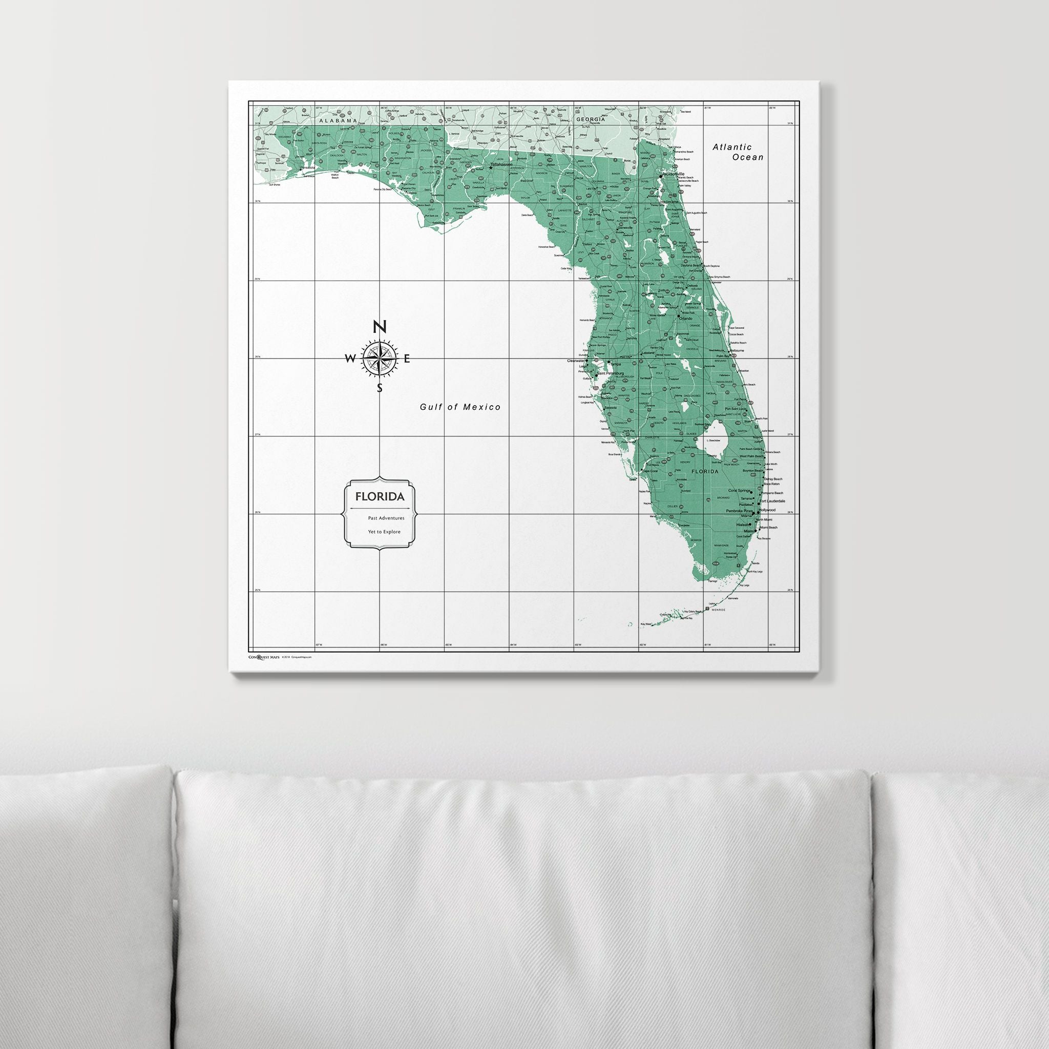 Push Pin Florida Map (Pin Board) - Green Color Splash CM Pin Board