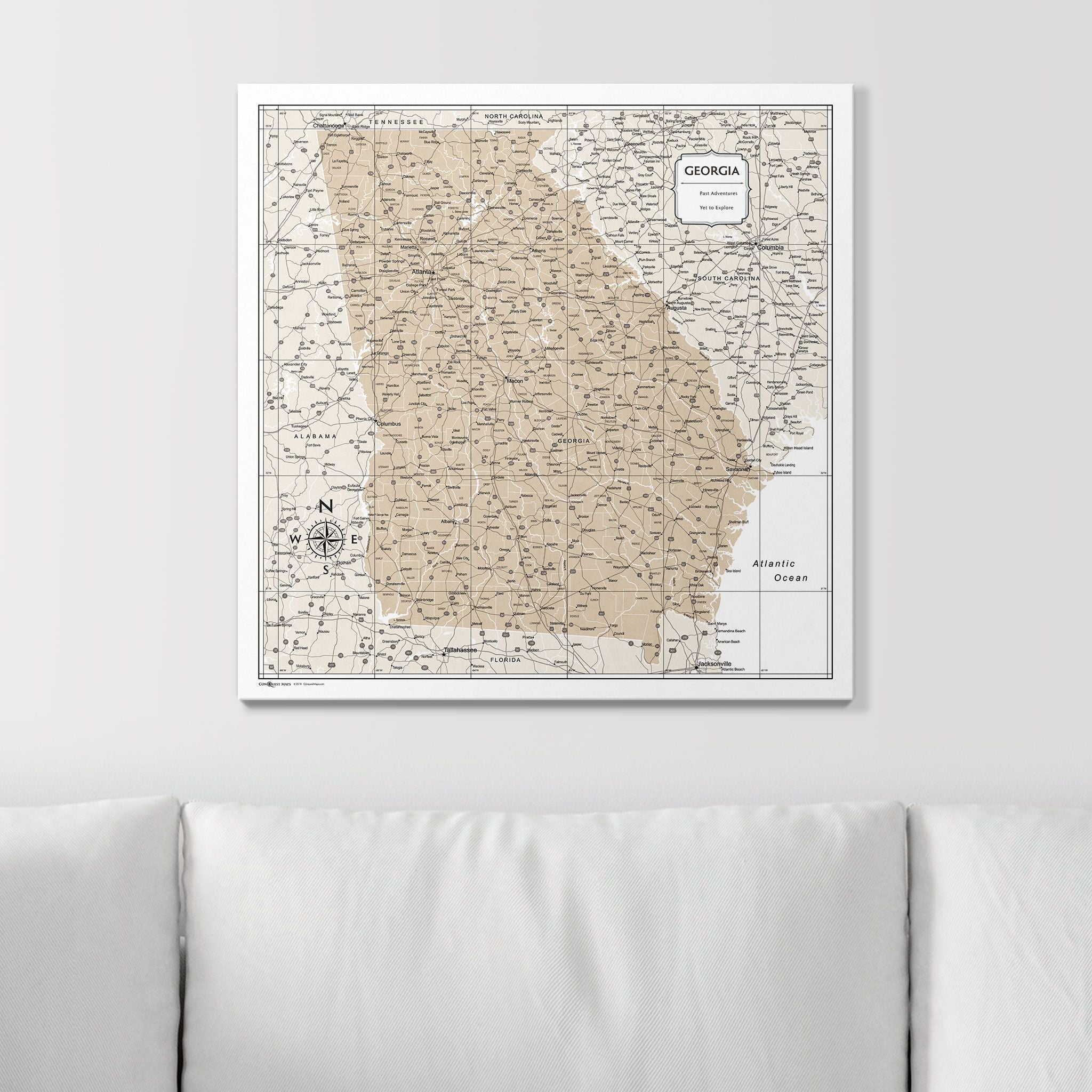 Push Pin Georgia Map (Pin Board) - Light Brown Color Splash CM Pin Board