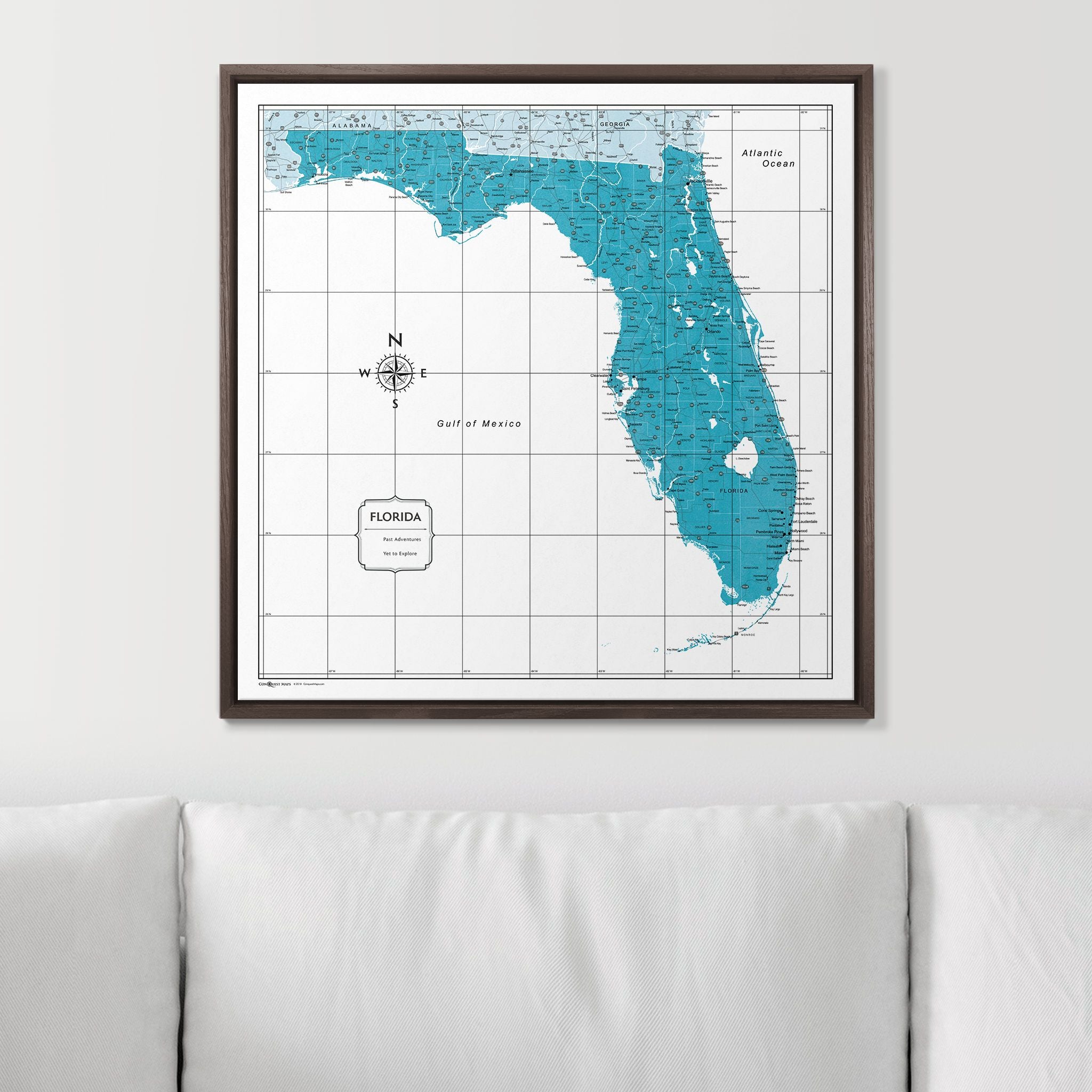 Push Pin Florida Map (Pin Board) - Teal Color Splash CM Pin Board