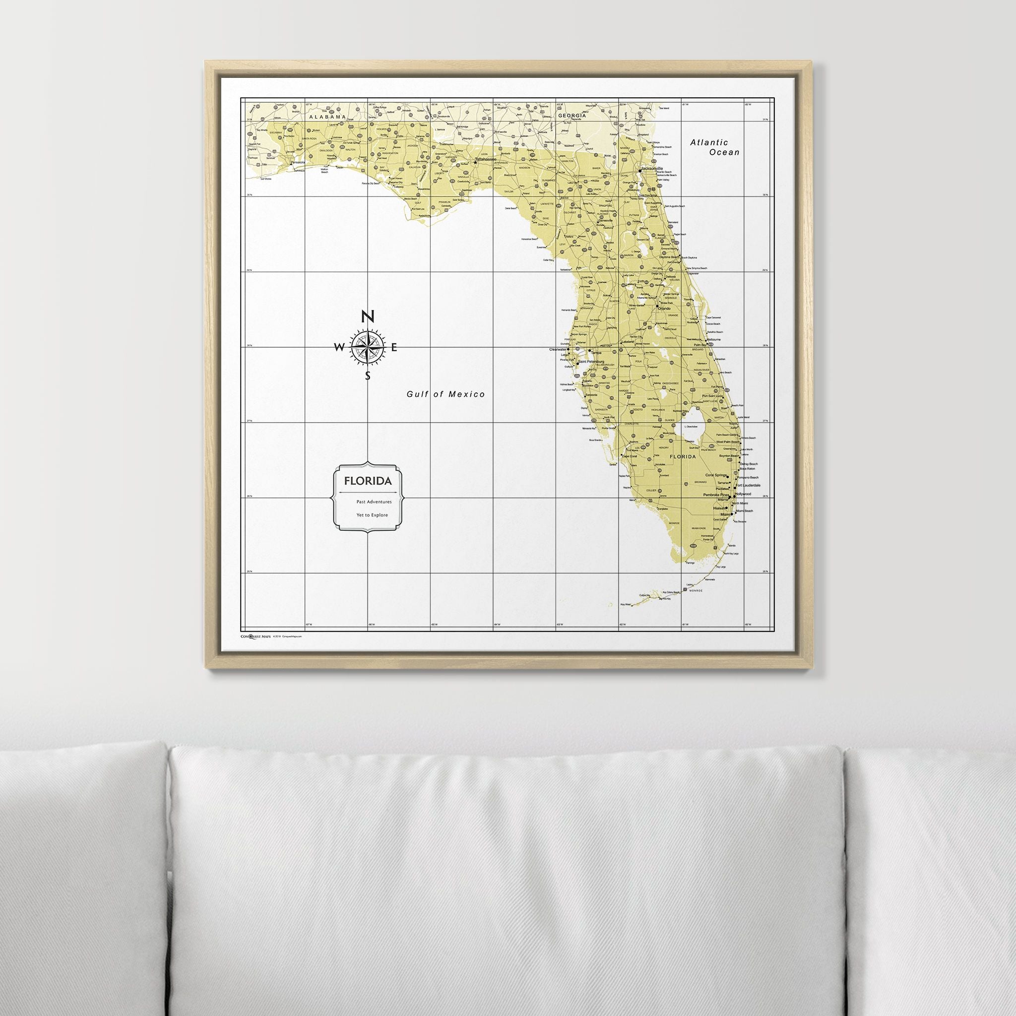 Push Pin Florida Map (Pin Board) - Yellow Color Splash CM Pin Board