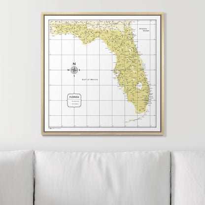 Push Pin Florida Map (Pin Board) - Yellow Color Splash CM Pin Board