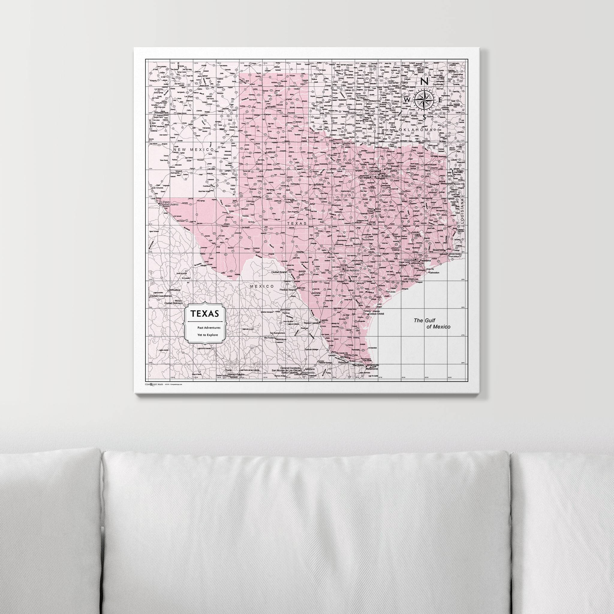 Push Pin Texas Map (Pin Board) - Pink Color Splash CM Pin Board