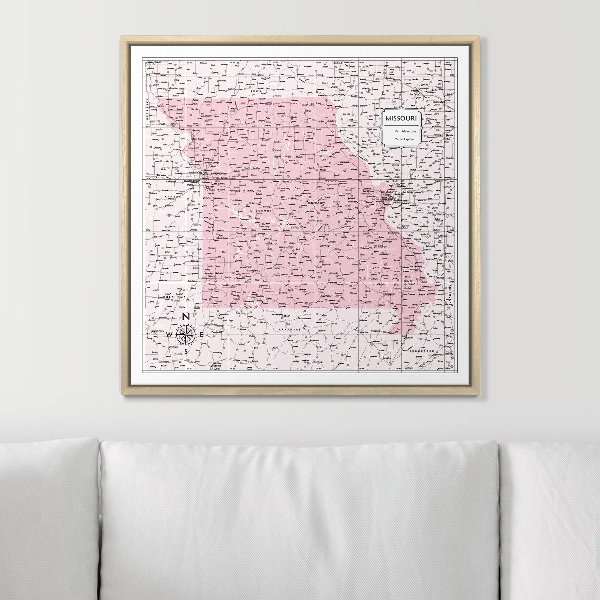 Push Pin Missouri Map (Pin Board) - Pink Color Splash CM Pin Board