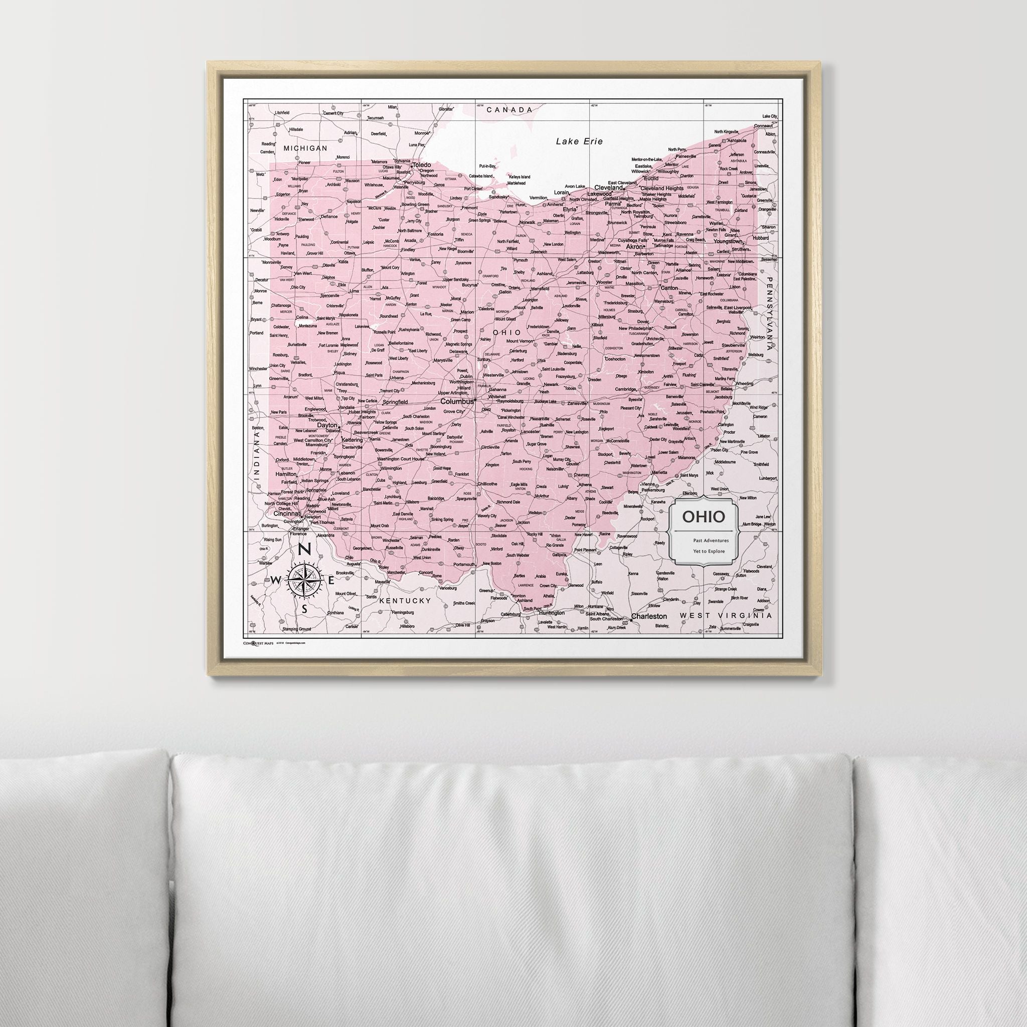 Push Pin Ohio Map (Pin Board) - Pink Color Splash CM Pin Board