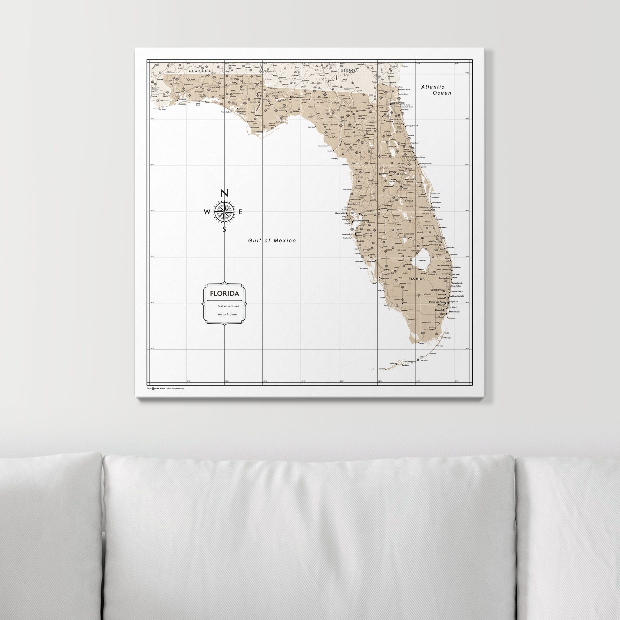 Push Pin Florida Map (Pin Board) - Light Brown Color Splash CM Pin Board