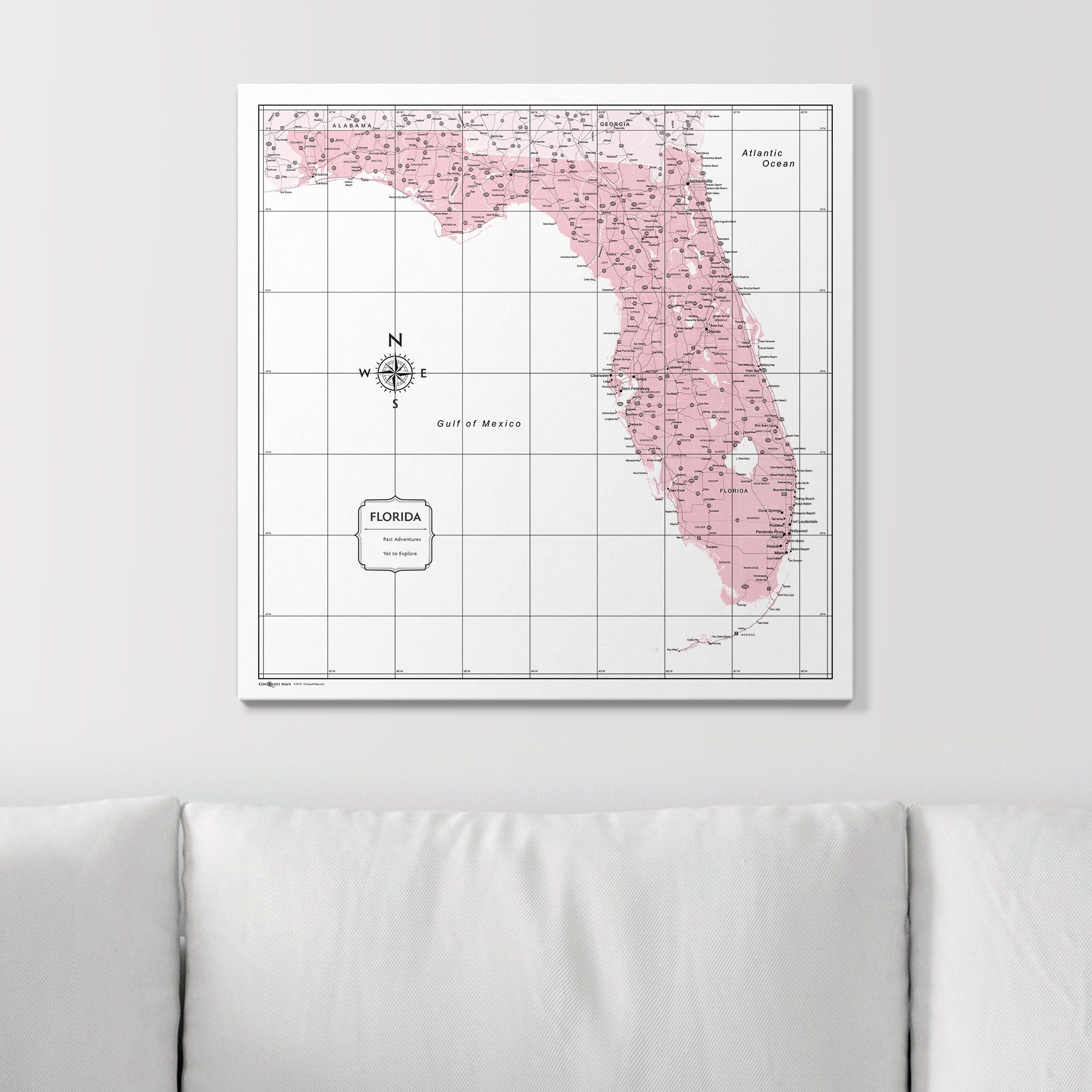 Push Pin Florida Map (Pin Board) - Pink Color Splash CM Pin Board