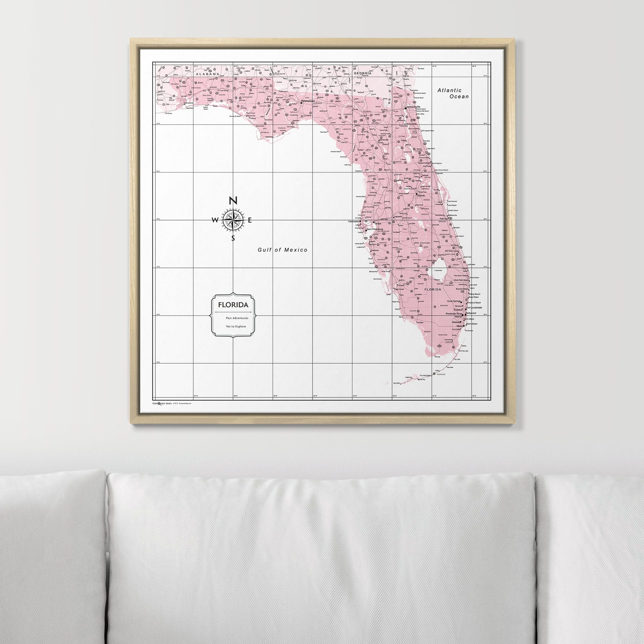 Push Pin Florida Map (Pin Board) - Pink Color Splash CM Pin Board