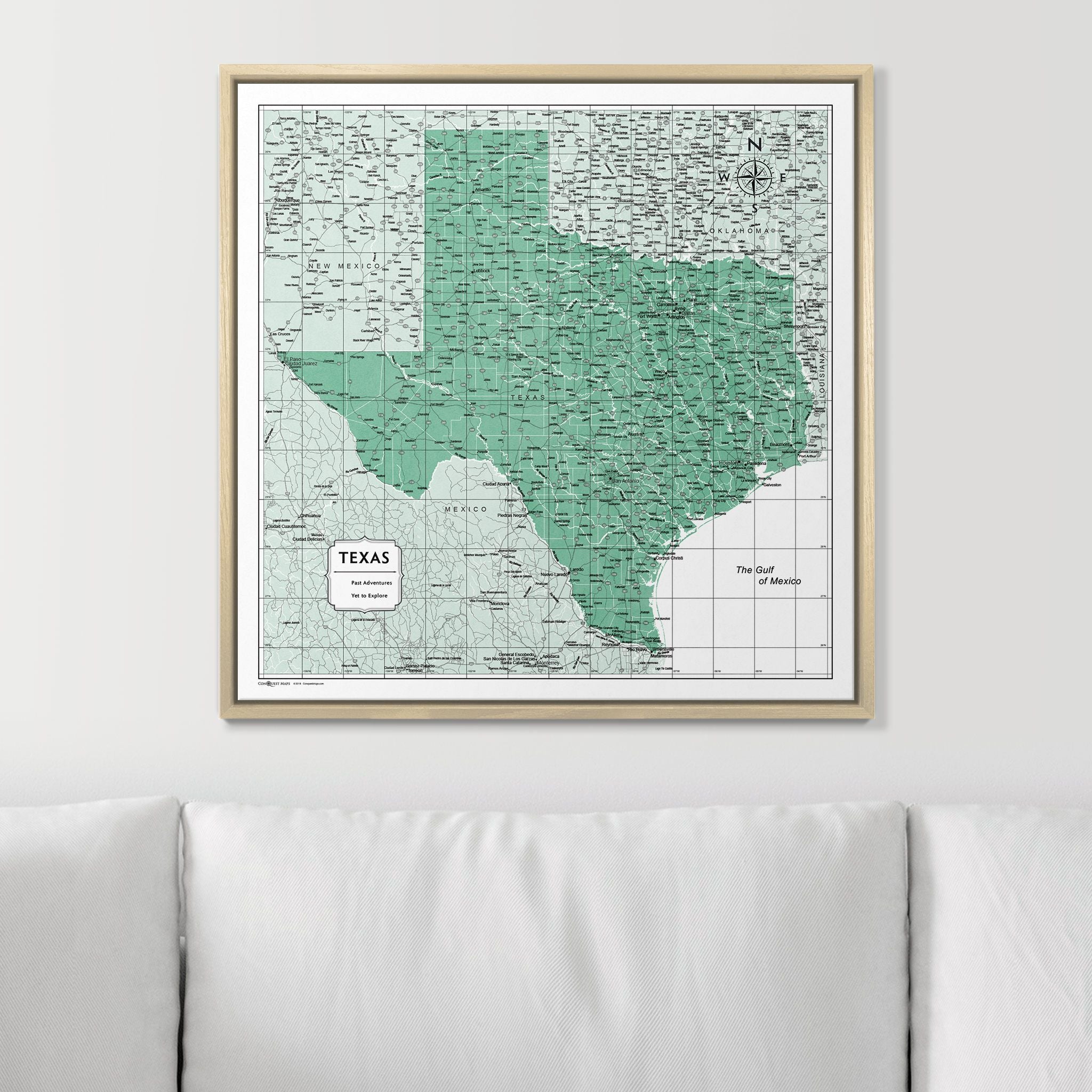 Push Pin Texas Map (Pin Board) - Green Color Splash CM Pin Board