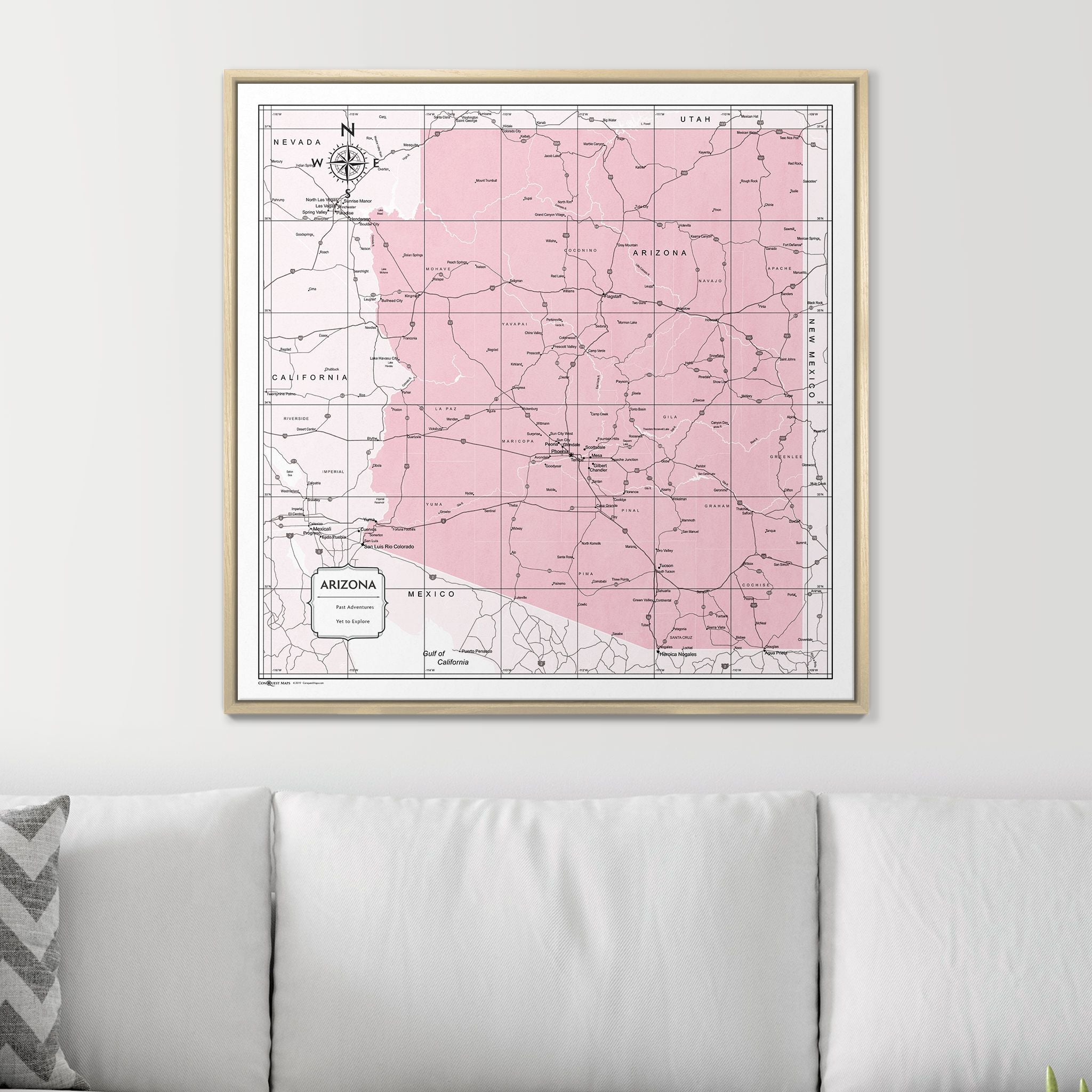 Push Pin Arizona Map (Pin Board) - Pink Color Splash CM Pin Board