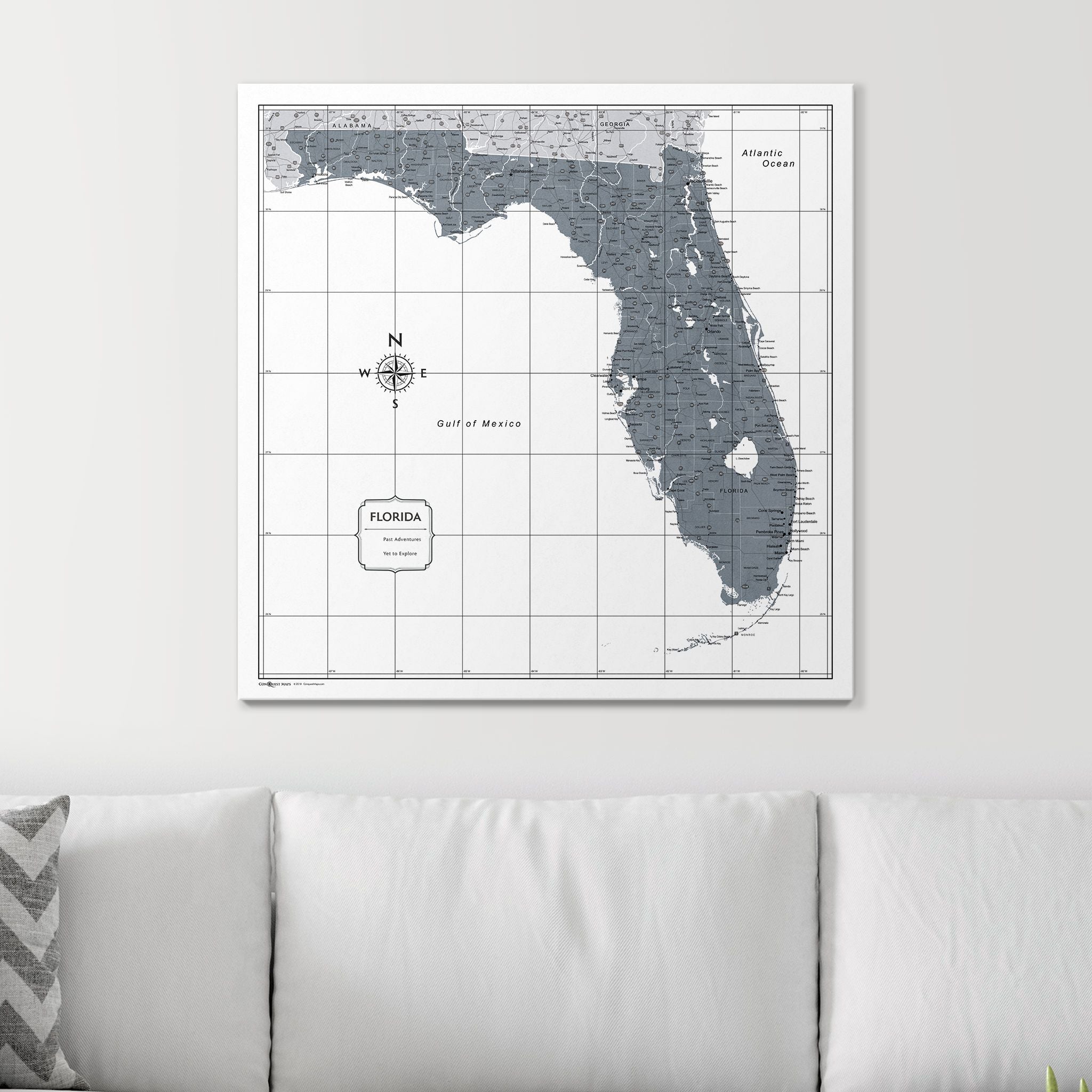 Push Pin Florida Map (Pin Board) - Dark Gray Color Splash CM Pin Board