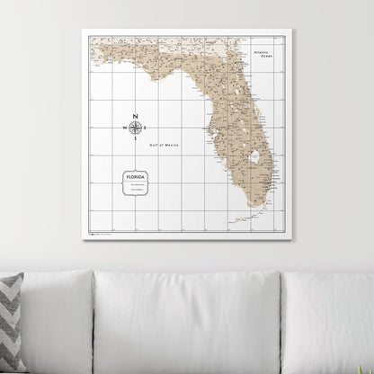 Push Pin Florida Map (Pin Board) - Light Brown Color Splash CM Pin Board