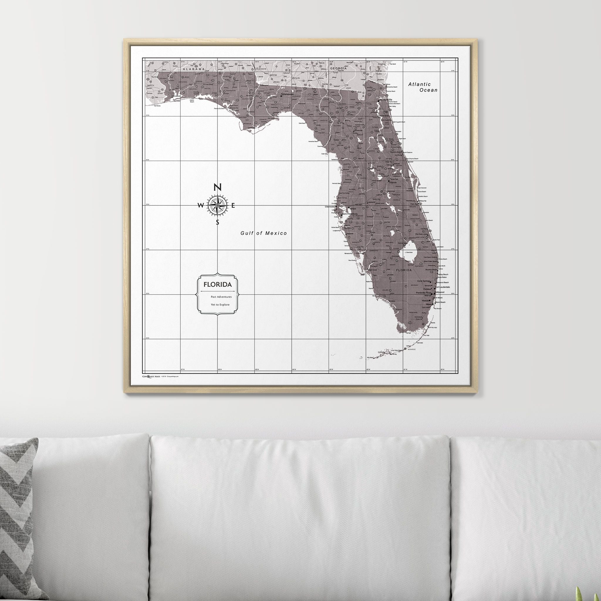 Push Pin Florida Map (Pin Board) - Dark Brown Color Splash CM Pin Board