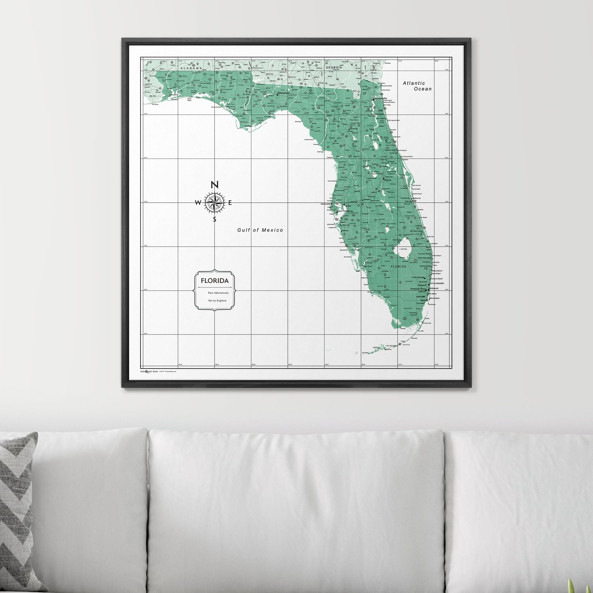 Push Pin Florida Map (Pin Board) - Green Color Splash CM Pin Board