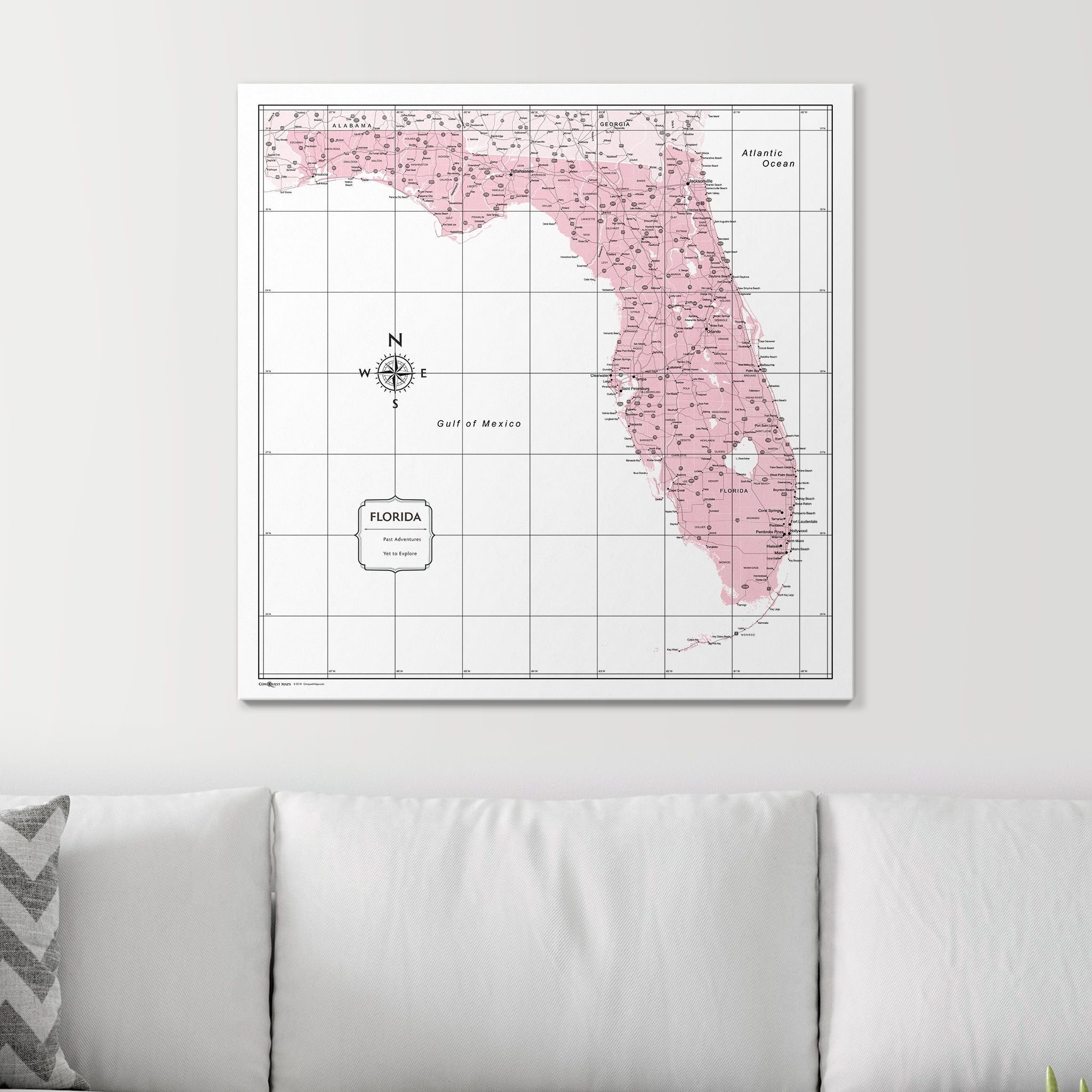 Push Pin Florida Map (Pin Board) - Pink Color Splash CM Pin Board