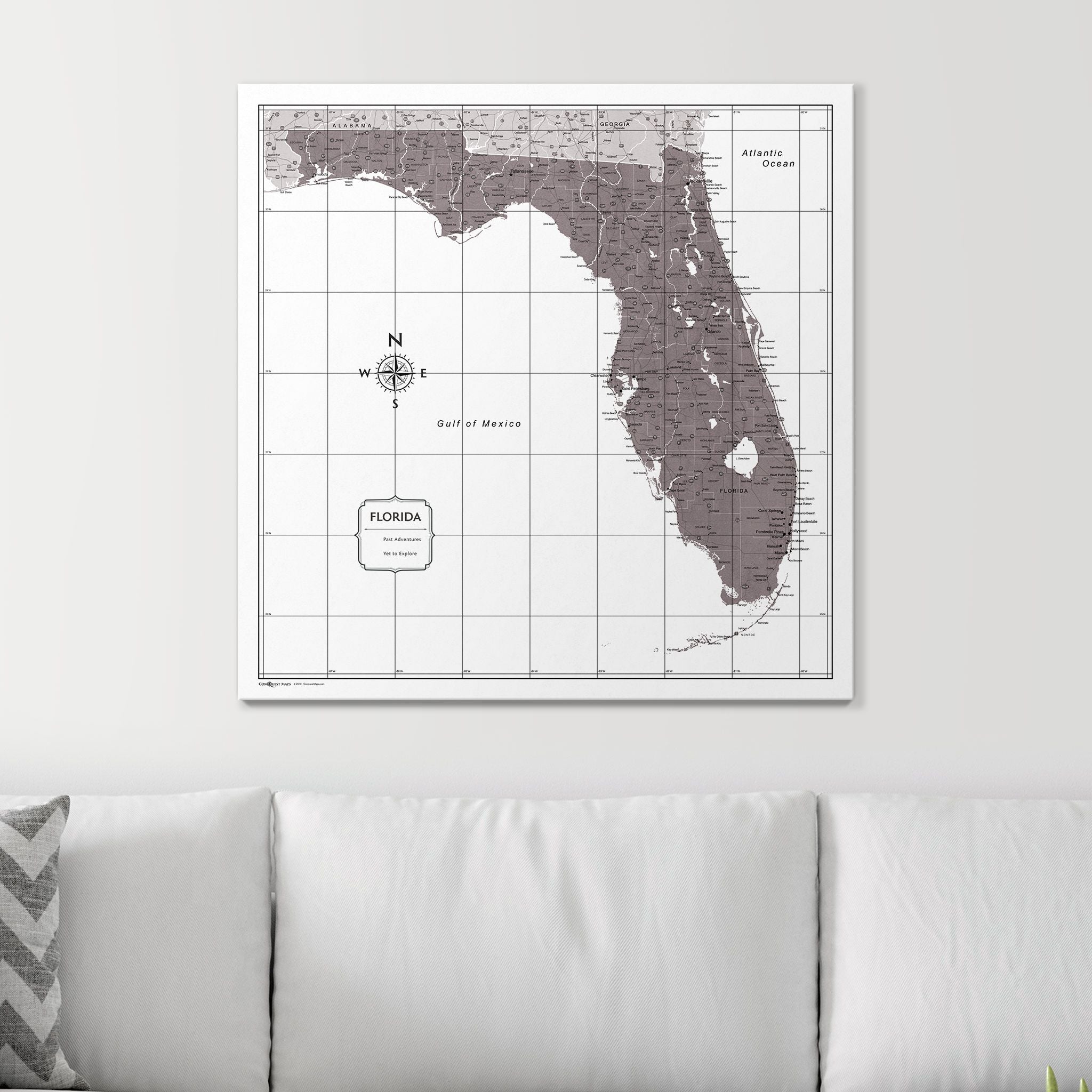 Push Pin Florida Map (Pin Board) - Dark Brown Color Splash CM Pin Board