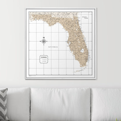 Push Pin Florida Map (Pin Board) - Light Brown Color Splash CM Pin Board