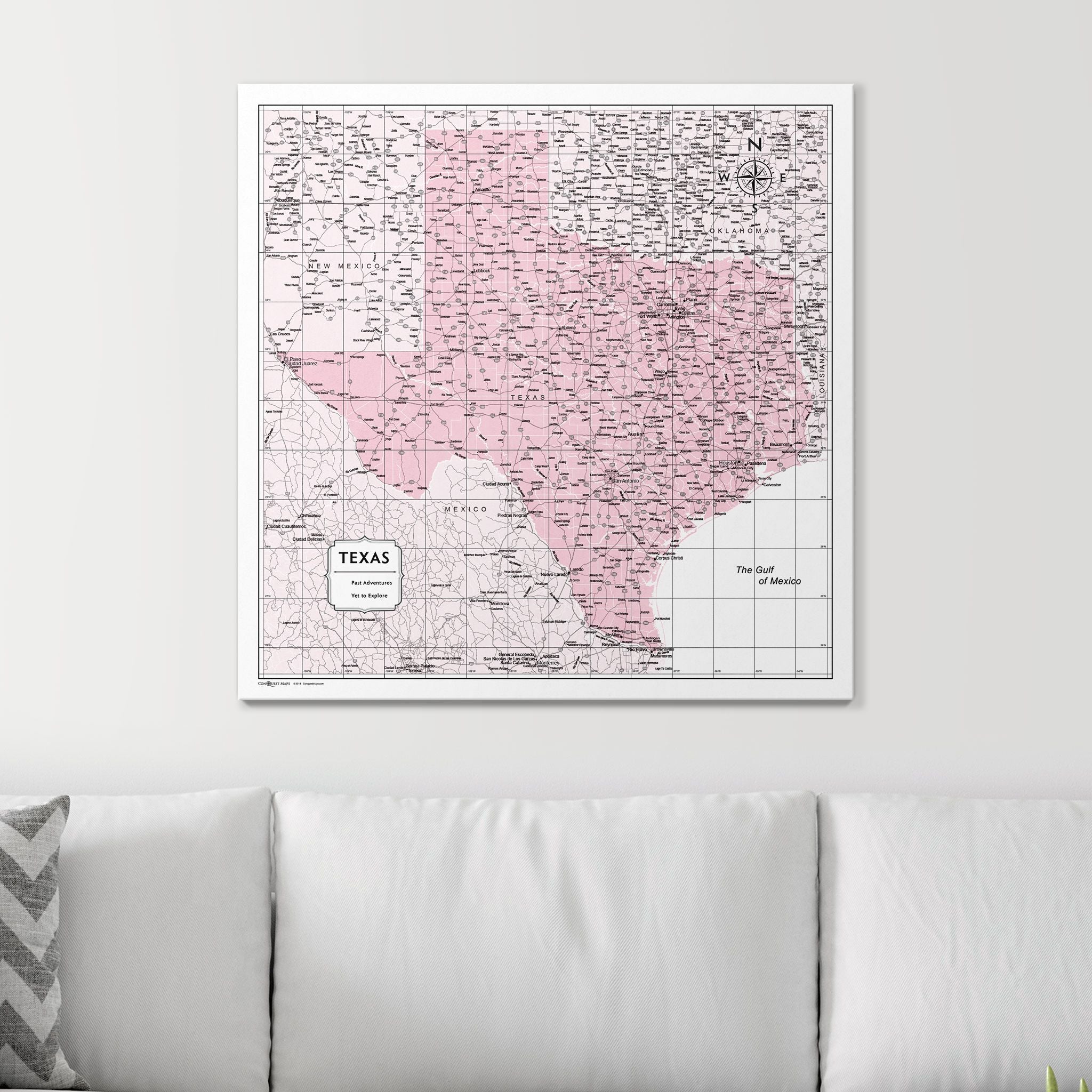 Push Pin Texas Map (Pin Board) - Pink Color Splash CM Pin Board