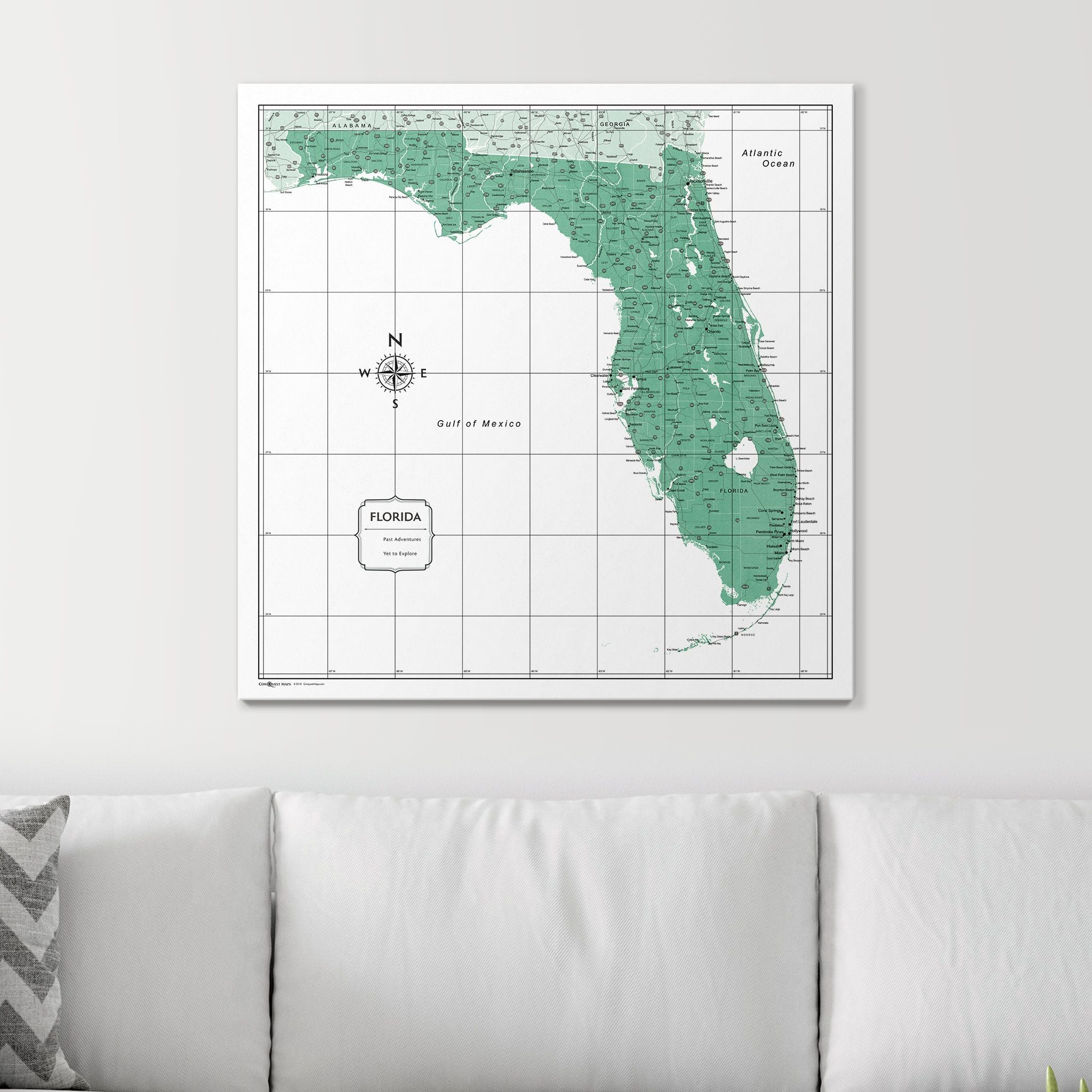 Push Pin Florida Map (Pin Board) - Green Color Splash CM Pin Board