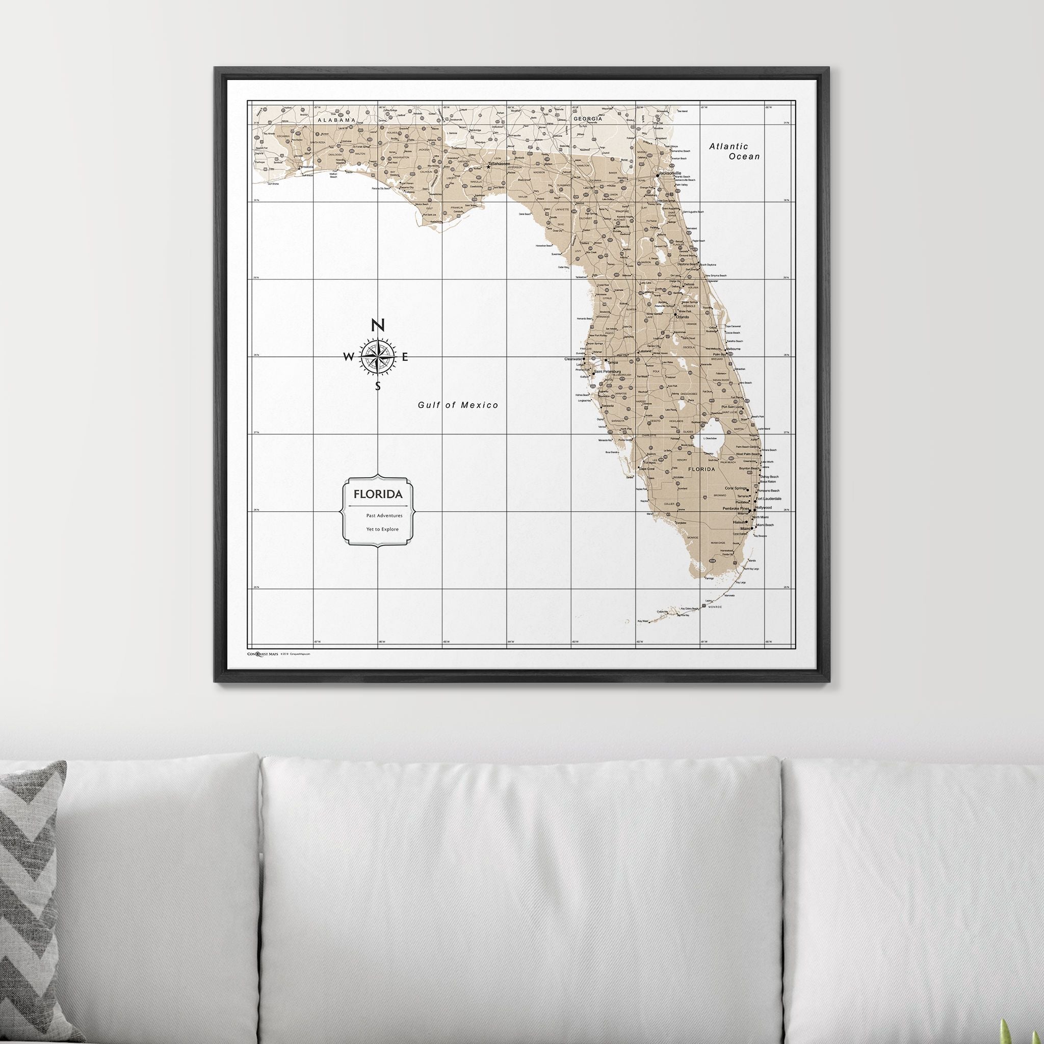 Push Pin Florida Map (Pin Board) - Light Brown Color Splash CM Pin Board