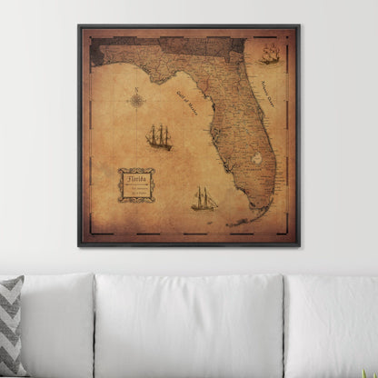 Push Pin Florida Map (Pin Board) - Golden Aged CM Pin Board