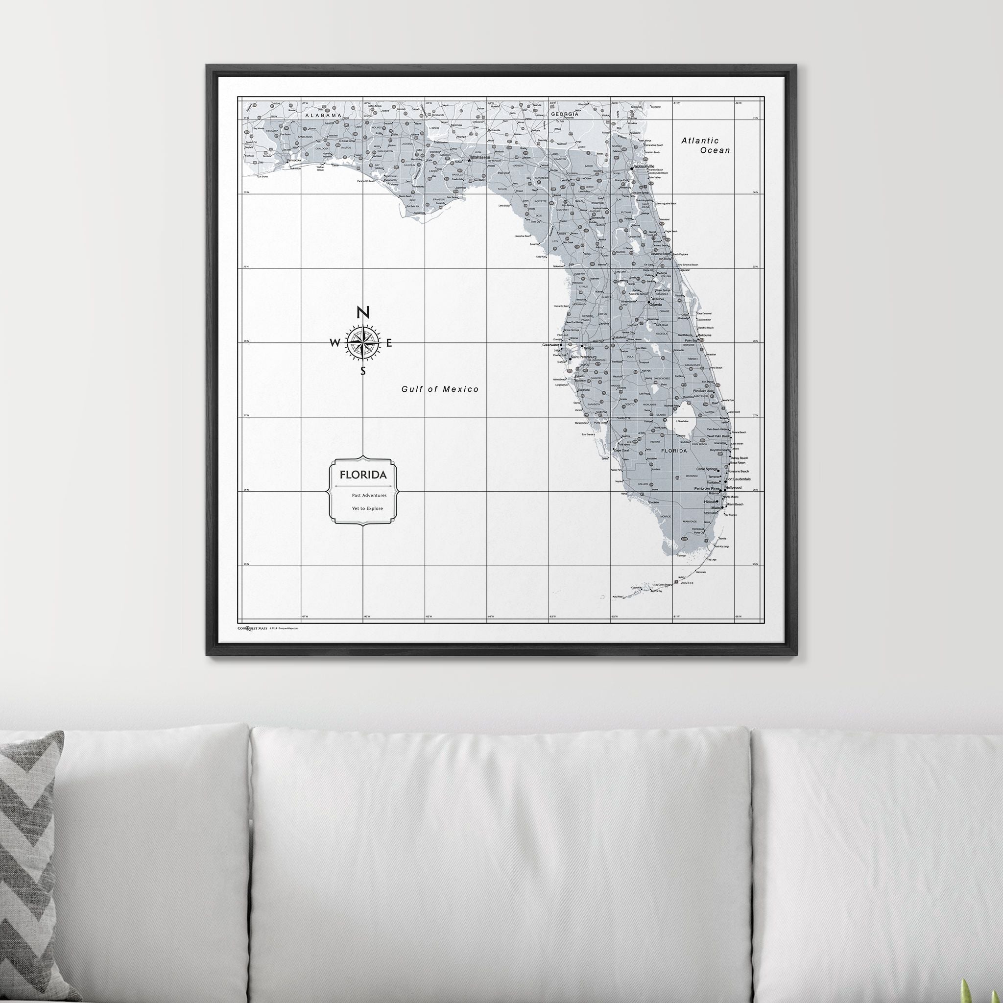 Push Pin Florida Map (Pin Board) - Light Gray Color Splash CM Pin Board