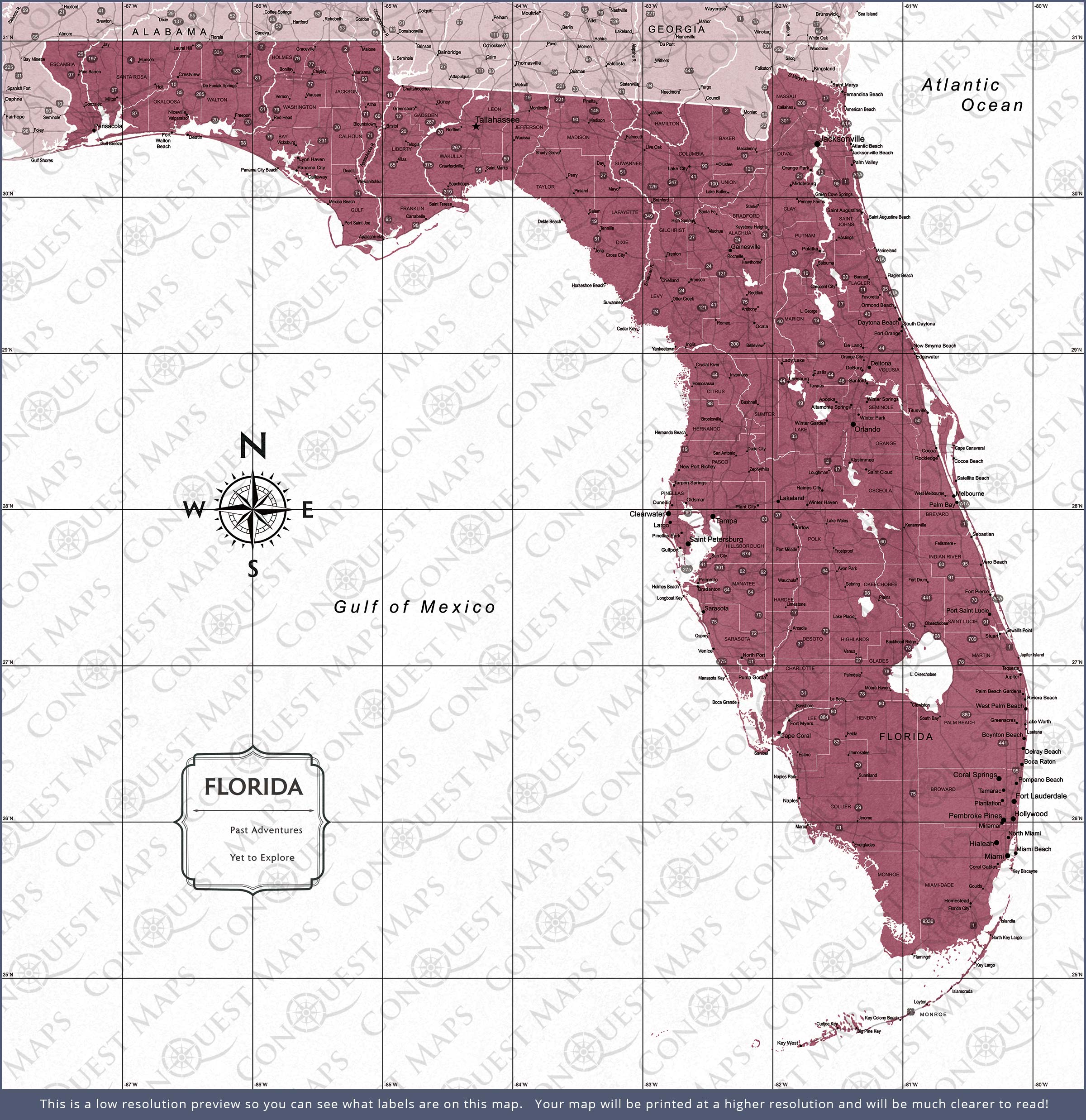 Florida Map Poster - Burgundy Color Splash CM Poster