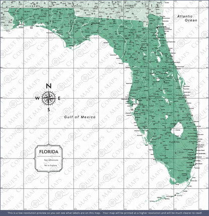 Push Pin Florida Map (Pin Board) - Green Color Splash CM Pin Board