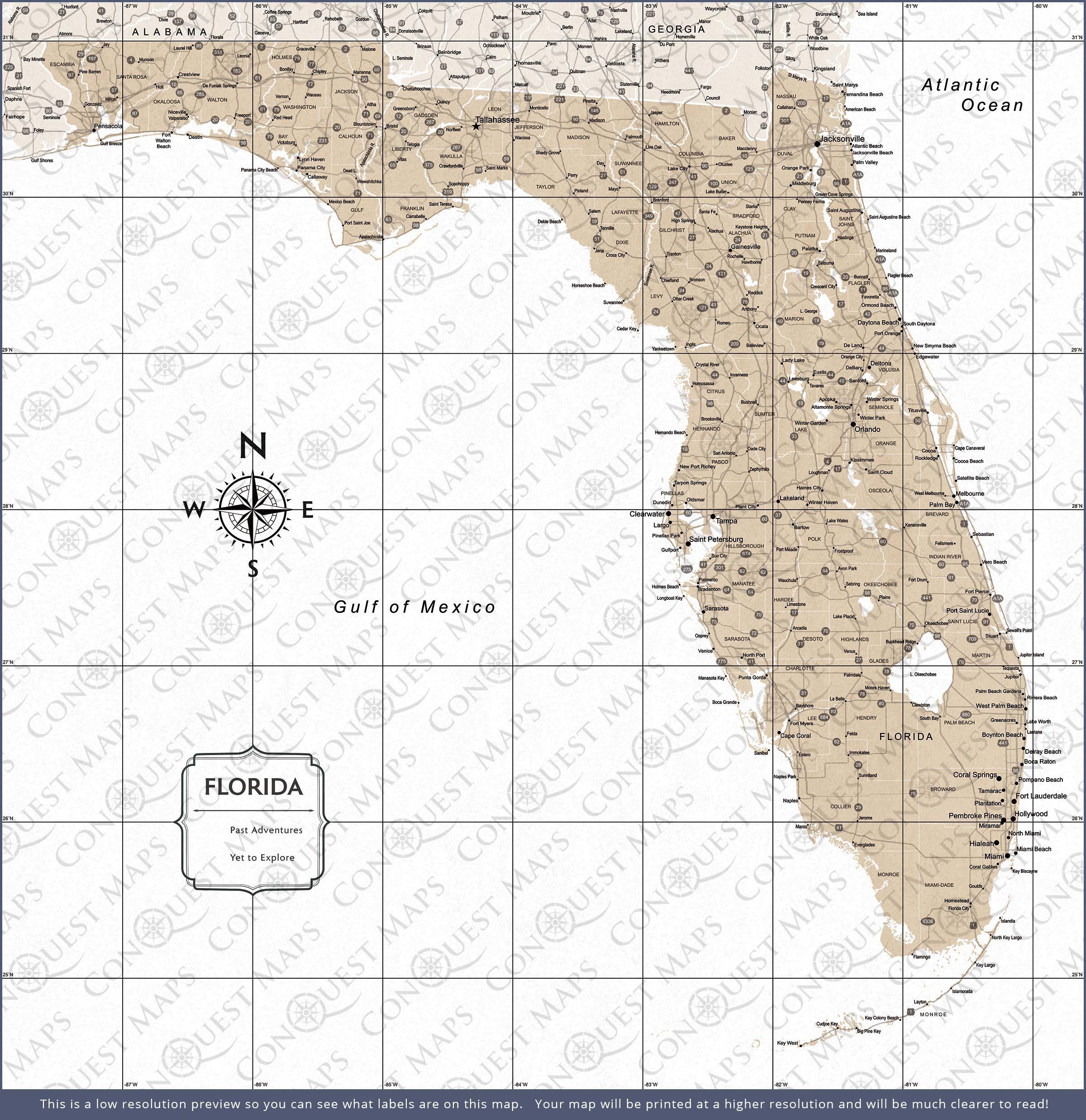 Florida Map Poster - Light Brown Color Splash CM Poster