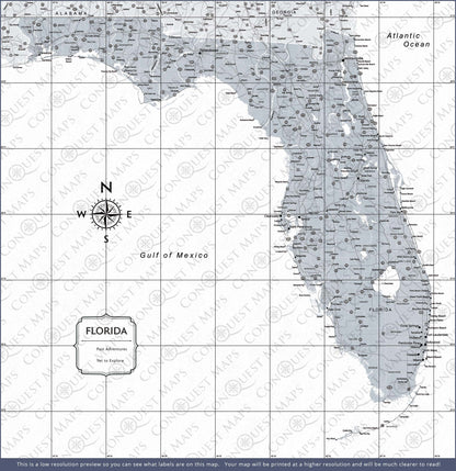 Florida Map Poster - Light Gray Color Splash CM Poster