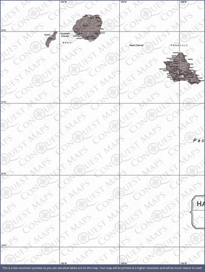 Push Pin Hawaii Map (Pin Board) - Dark Brown Color Splash CM Pin Board