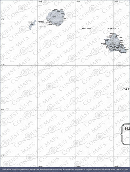 Hawaii Map Poster - Light Gray Color Splash CM Poster