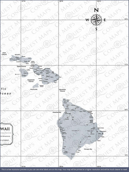 Hawaii Map Poster - Light Gray Color Splash CM Poster