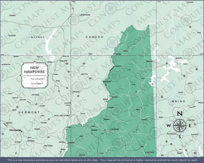 Push Pin New Hampshire Map (Pin Board) - Green Color Splash CM Pin Board