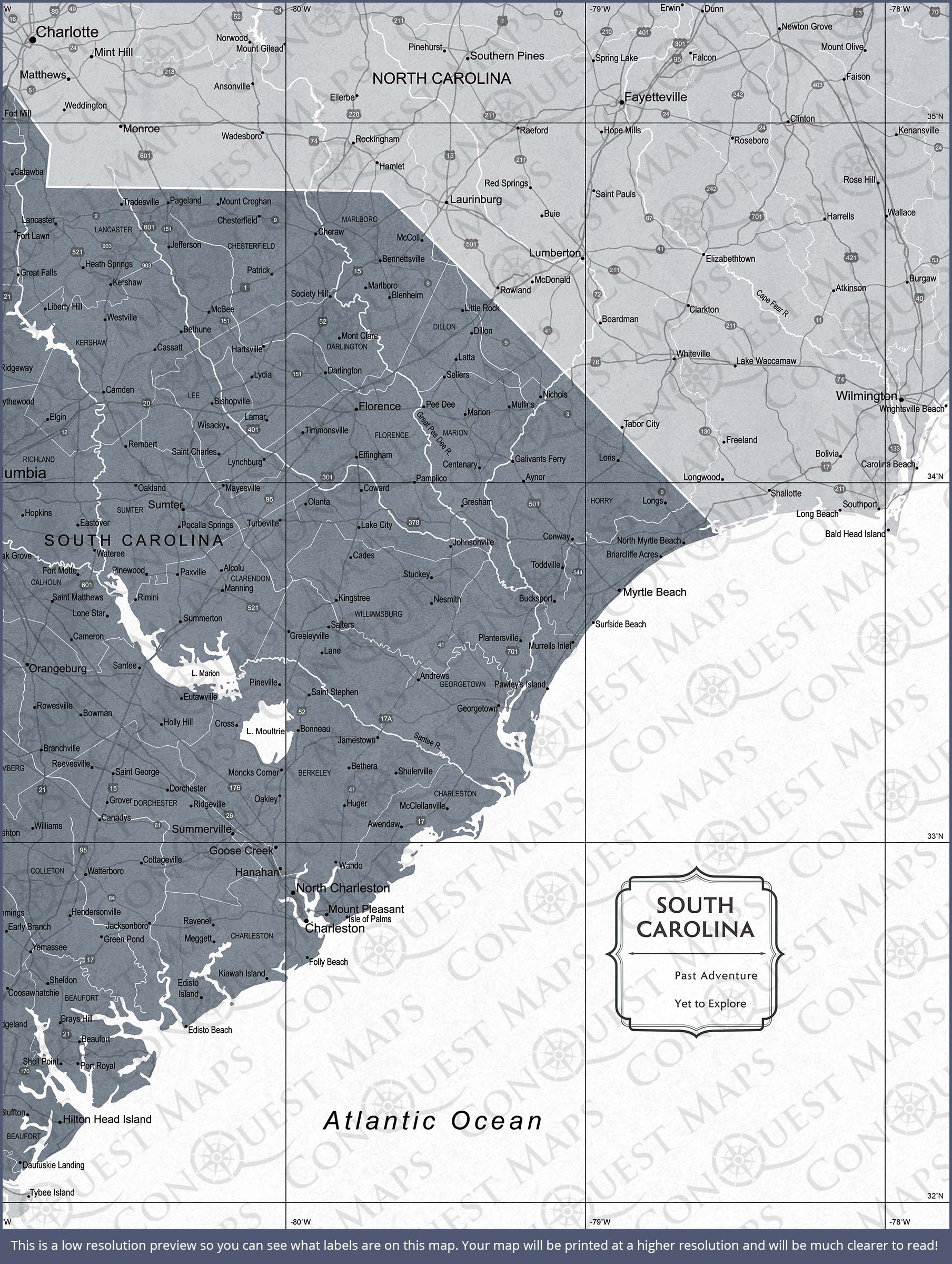 Push Pin South Carolina Map (Pin Board) - Dark Gray Color Splash CM Pin Board