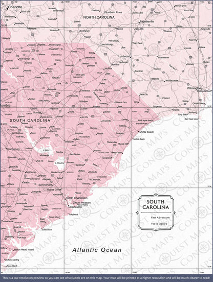 Push Pin South Carolina Map (Pin Board) - Pink Color Splash CM Pin Board