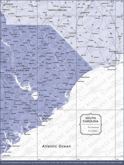 Push Pin South Carolina Map (Pin Board) - Purple Color Splash CM Pin Board