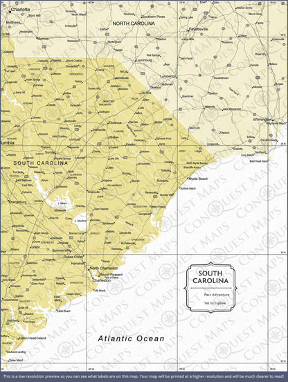 Push Pin South Carolina Map (Pin Board) - Yellow Color Splash CM Pin Board