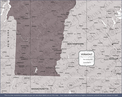 Push Pin Vermont Map (Pin Board) - Dark Brown Color Splash CM Pin Board