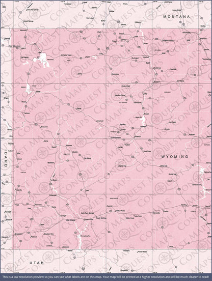 Push Pin Wyoming Map (Pin Board) - Pink Color Splash CM Pin Board